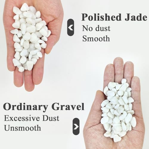 YISZM 10LB Succulent and Cactus Gravel Pebbles, 3/8 Inch White Stones - Image 2