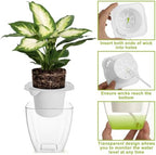 Clear Self Watering Planters, 12 Pack, 4.2 in Square - Image 4