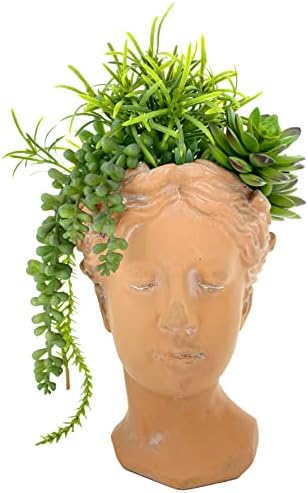Greek Goddess Planter Lady Head Bust Terracotta Flower Pot, Indoor Outdoor 8.5" - Image 7