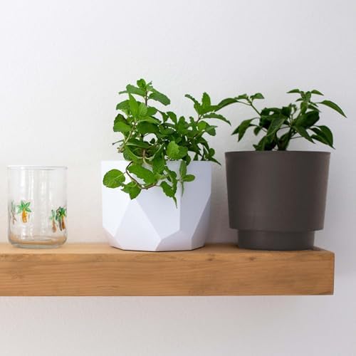 Bloem Harlow 6" Plastic Planter, Modern Design, Peppercorn, 4-Pack - Image 2