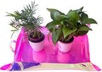 2 Pcs Planting Mat 68x50cm Holographic Gardening for Garden by Unknown