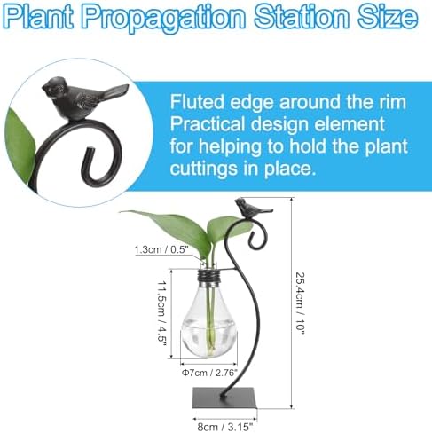 PATIKIL Bird Plant Propagation Station Plastic Vases Terrarium Vase Black - Image 2
