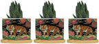 Chinoiserie Tiger Ceramic Planter Green and Turquoise Tiger Stripe Planters for Outdoor Plants with Drainage Holes and Saucers Pot for Pots Outdoor Indoor Plants by BRUYU5SE