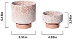 UBEE Planter Ceramic Flower Pot for Indoor Plants | 5.5 inch + 4.9 inch Plant Pot with Saucer and Drainage Hole for Aloe, Snake Plants, Pothos, Orchid, Terracotta with White Glaze Dot - Image 6