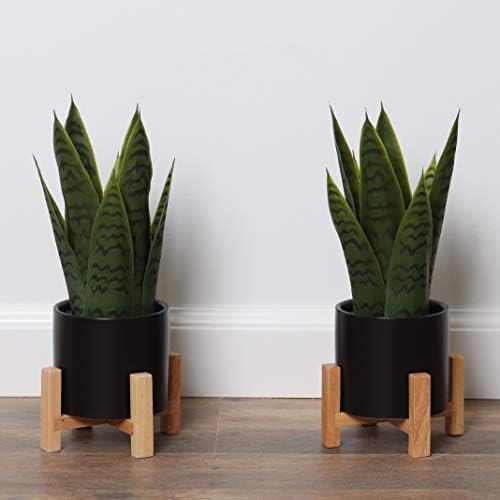 Bornbridge Artificial Snake Plant with Mid Century Plant Stand - Sansevieria Plant in Modern Planter - Artificial Plants with Indoor Plant Stand - Faux House Plants (Small / 2 Pack) by Bornbridge