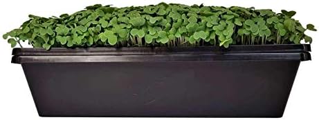 Bootstrap Farmer 1010 Trays 2.5 Inch Deep Black No Holes 10 Pack - Image 2