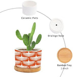 Orange Swan Cranes Ceramic Planters Orange and White Lily Geese Flock Planters for Outdoor Plants with Drainage Holes and Saucers Pot for Indoor Outdoor Garden - Image 3