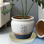 4 Pack of 16 17 inch Plant Saucer (15 inch Base), 2.3" Depth, Heavy Duty Deep Plant Trays for Pots, Plant Saucers for Indoors, Bird Bath Bowls, Drip Trays for Planter (17", Beige) - Image 7
