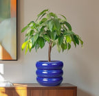 SQOWL 8 Inch Plant Pot - Ceramic Planter Indoor Plant Pot with Drainage Hole Outdoor Flower Pot Round Decorative Plant Pots for Kitchen Counter Desk Decor Blue - Image 4