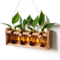 Plant Propagation Stations Halloween Skull Plant Terrarium Kit by CYZglass