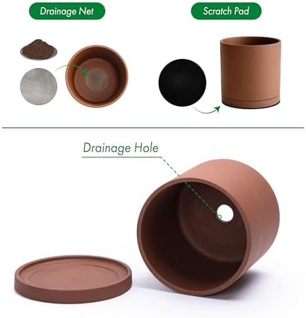D'vine Dev 2-Pack Rust Terracotta Plant Pots with Saucers, 5 in, 40-V-B-2 - Image 4