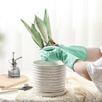 8 Inch Ceramic Plant Pot with Drainage Hole & Separate Saucer - Image 4