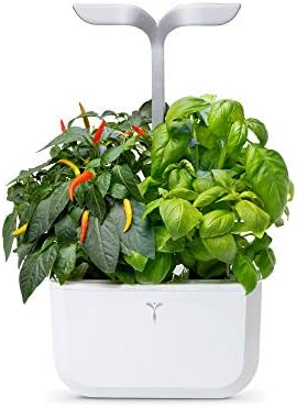 Smart Indoor Garden by Véritable® - Exky Smart Arctic White - 2 Lingots® Included by Veritable+