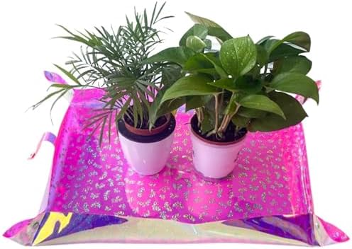 2 Pcs Planting Mat 68x50cm Holographic Gardening for Garden by Unknown