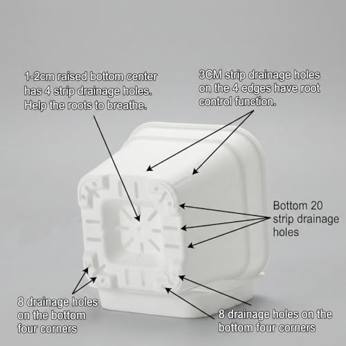 BTPLASTIK 6 Pack 6/8/10 Inch Square Plant Pots with Saucers White - Image 4
