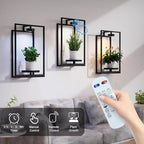 Shineled Wall Plant Holder, Indoor Plants Holders with Remote Grow Lights, Plant Shelves Hanging Planters, Framed Plants Holder for Living Room, 2 Pack - Image 5