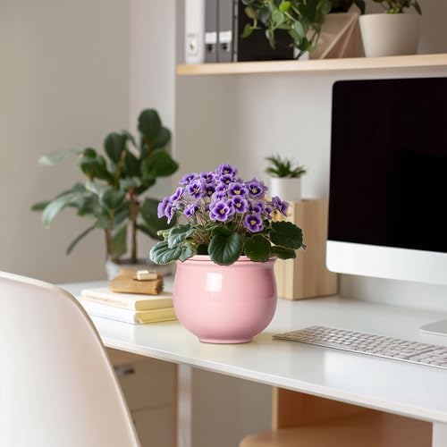 African Violet Pots, 6 Inch Ceramic Easy Self Watering Pots with Absorbent Inner Pot, Round Ceramic Planter for Indoor Plants, Small Flower Pot, Home Decor, Gifts for Plant Lovers, Pink - Image 3