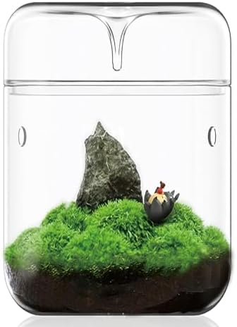 SARUFO Small Glass Plant Terrarium 4.7"X7" Inches Succulent Air Planter Fern Moss Micro-Landscape Vase for Home Garden Office Tabletop Decoration Container with Lid Indoor Wardian Copyright Patent by SARUFO