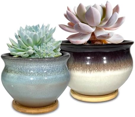 Terrecotta Succulent Pots Round 7 and 5.5 Inch Ceramic Plant Pot for Indoor Plants with Drainage Hole and Saucer Set of 2 (White and Blue) by SUMMERIMPRESSIONS