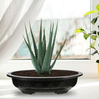 4pcs Oval Plastic Flower Pot with Drainage Holes, Black PP Planter - Image 5