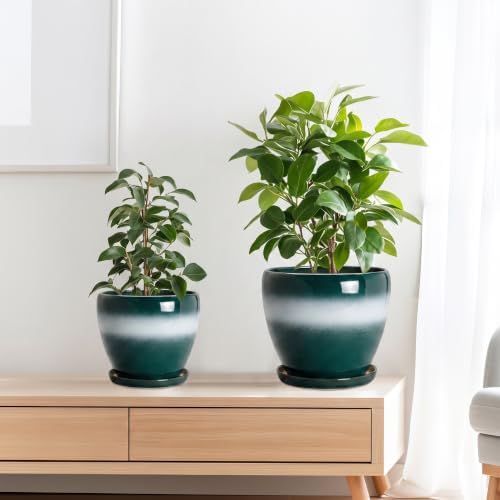 Ceramic 10/8/6 Inch Flower Pots, Ceramic Planter, Green-White - Image 7