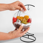 Creations by Nathalie - 5" Glass Globe Succulent Terrarium Kit, Hanging DIY Starter Kit for Kids and Adult, Metal Stand, Reindeer Moss, Crystal & Rocks, Tools, Figurine (Live Plant Included) - Image 6