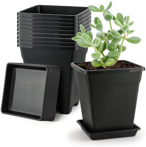 BTPLASTIK Square Plastic Planter 8 Inch, Plant Pots with Drainage Hole & Tray, 10 Pack Modern Decorative Garden Pot with Saucer, 1 Gallon Flower Pots Planters for Indoor Outdoor Plants by BTPLASTIK