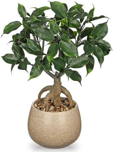 Artificial Bonsai Tree Fake Small Ficus Plant with Ceramic Pot Indoor Plant by Oairse