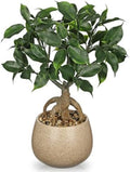 Artificial Bonsai Tree Fake Small Ficus Plant with Ceramic Pot Indoor Plant by Oairse