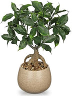 Artificial Bonsai Tree Fake Small Ficus Plant with Ceramic Pot Indoor Plant by Oairse