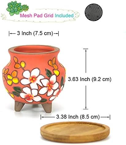 Hand Painted Tall Round Succulent Planter Cactus Planter Pot Clay Pot Flower Pot Floral Design with Bamboo Trays Pack of 4 (3 Inch) - Image 7