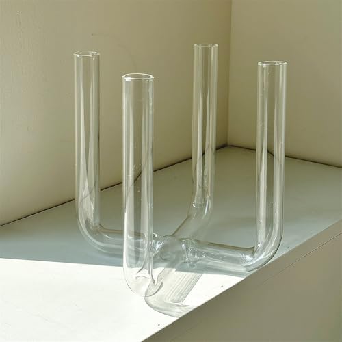 Glass Plant Propagation Stations, Gardenia Propagation Vases for Plants Bedroom Propagated Plant Holders by Unknown