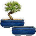 Villa Como Set of 2 Large Bonsai Pots with with Drainage Hole, 8.7" by VillaComo