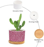 Hot Pink Leopard Print Ceramic Planter Animal Strip Planters for Outdoor Plants with Drainage Holes and Saucers Pot for Succulents Cactus Garden Windowsill - Image 3