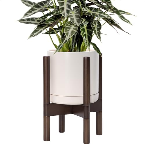 D'vine Dev Ceramic Pot with Walnut Wood Stand, Oatmeal, 8 in, 55-B-Y-8 by DvineDevPlanterPotsandStand
