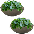 Sunnydaze Percival 20.75" Shallow Outdoor Planter Bowl, Sable, 2pk by SunnydazeDecor