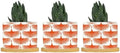 Orange Swan Cranes Ceramic Planters Orange and White Lily Geese Flock Planters for Indoor Plants with Drainage Holes and Saucers Pot for Outdoor Garden Home Plant by BRUYU5SE