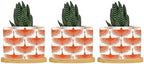 Orange Swan Cranes Ceramic Planters Orange and White Lily Geese Flock Planters for Indoor Plants with Drainage Holes and Saucers Pot for Outdoor Garden Home Plant by BRUYU5SE