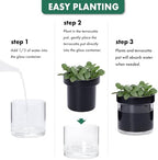 Phoenix Vine 4 Inch Self Watering Planter Pot, Black Terracotta Clay Pot with Glass Reservoir for Indoor Plants, Herbs, Flowers, Set of 3, 52-C-E-3 - Image 7