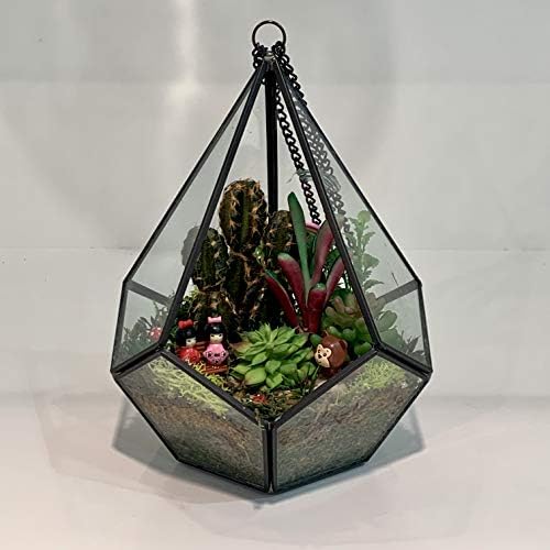 WGV Hanging Geometric Planter Terrarium Width 6.5" Height 8.75" Clear Glass Black Frame DIY Succulent air Plant Miniature Fairy Garden Windowsill Decor Teardrop 1 Piece - Image 5