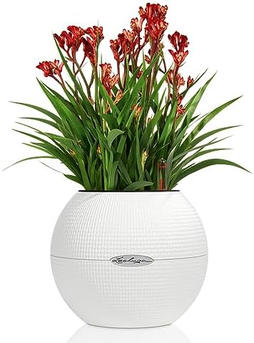 Lechuza Puro Colour 20 + Macrame White 13353 - Image 2