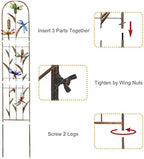 LEWIS&WAYNE 2 Pack Metal Garden Trellis with Colorful Dragonfly 60 Inch High Outdoor Decoration Arched Fence Trellis for Climbing Plants for Patio, Lawn, Yard, Backyard, Wall Brackets - Image 4