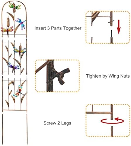 LEWIS&WAYNE 2 Pack Metal Garden Trellis with Colorful Dragonfly 60 Inch High Outdoor Decoration Arched Fence Trellis for Climbing Plants for Patio, Lawn, Yard, Backyard, Wall Brackets - Image 4