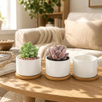 ZOUTOG 12 PCS 3.6" Ceramic Succulent Pots,White Planter with Drainage Tray - Image 5