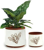Terracotta Pots, 6+4 Inch Plant Pots, 2 Pcs with Drainage Holes by YBXYIBOXUAN