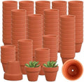 160 Pcs Small Clay Pots with Drainage Hole 2 Inch Mini Terracotta Plant Pots Planters Bulk for Succulent Cactus Flower Wedding Nursery Indoor Outdoor Craft by CONEHOY