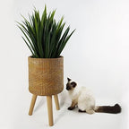 Leaf Large Planters Plant Pots, 54cm Woven fibreglass Composite - Image 3