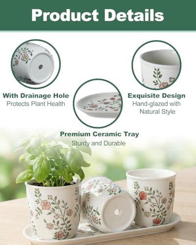 vensovo Ceramic Planter Set with Tray, 3 Small Herb Pots, Green Leaf - Image 4