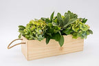 Wooden Planter Box with Handle, Rose Wood, Plastic Liner l Garden Decor l Restaurant and Wedding Decorations l Wedding Bouquets, Table Centerpiece, 12 x 4 Inches, (12x4 w Handle Set of 4, Rose Wood) - Image 3
