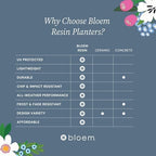 Bloem Ariana 12" Plastic Self-Watering Planter, Basil, 2-Pack - Image 5